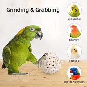 andwe Bird Toy Sola Balls - Natural Soft Chew Shredding & Foraging Toy for Cockatiel Conure Quaker Parrot Budgie Parakeet Rabbit Bunny Guinea Pig Chinchilla (Style 2 (Pack of 6))