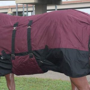 HILASON 1200D Turnout Light Winter Waterproof Horse Sheet Wine| Horse Blanket - 84 Inches | Horse Blankets for Winter Waterproof | Horse Turnout Blanket | Horse Turnout