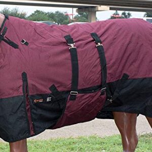 HILASON 1200D Turnout Light Winter Waterproof Horse Sheet Wine| Horse Blanket - 84 Inches | Horse Blankets for Winter Waterproof | Horse Turnout Blanket | Horse Turnout