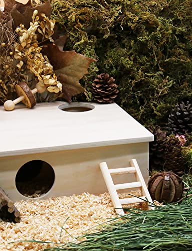 Rubor Multi-Chamber Hamster House Maze, Hamster Hideout Small Pets Woodland House Habitats Decor, Hamster Tunnels Activity Hamster Burrow for Hamster Mice Gerbils Lemming