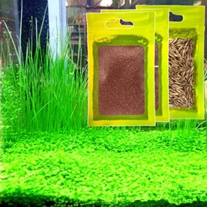 3 pack live aquarium plant seeeds, fresh water fish tank carpet grass plants mini leaf & long hair grass for terrarium aquatic 21c