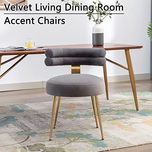 Dolonm Velvet Dining Chair Upholstered Armless Accent Chair with Golden Metal Legs Mid Century Modern Comfy Side Chair for Living Room Bedroom Kitchen Vanity (Grey)