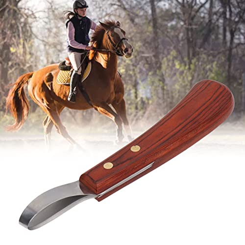 KUIDAMOS Hoof Trimmer, Loop Hoof Knife Precision Farrier Tool Stainless Steel Blade Oval Hoof Shears with Wood Handle Farrier Loop Knife for Horses Donkeys Cows