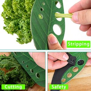 FYY Herb Stripper 9 Holes,Herb Stripping Tool With Leather Protect Cover,Stainless Steel Kitchen Herb Leaf Stripping Tool for Kale, Chard, Collard Greens, Thyme, Basil, Rosemary