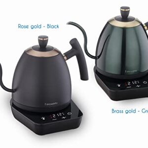 Easyworkz Electric Gooseneck Pour Over Coffee Kettle, Stainless Steel Hand Drip Tea Pot 27 Ounce Temperature Control 1200W Quick Heating