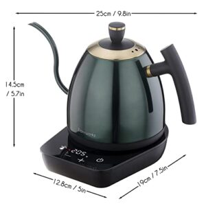 Easyworkz Electric Gooseneck Pour Over Coffee Kettle, Stainless Steel Hand Drip Tea Pot 27 Ounce Temperature Control 1200W Quick Heating