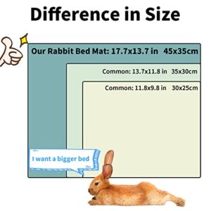 Amakunft 2 Pcs Large Guinea Pig Bed Mat, Rabbit Sleep Bed, 17.7x13.7x2 Inches, Small Animal Playpen for Bunny/Chinchilla/Hedgehog