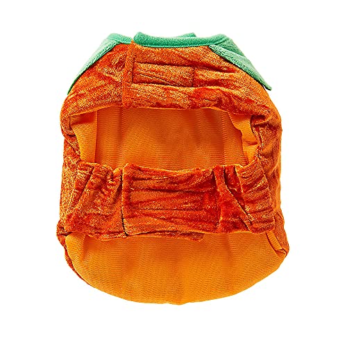 Thrills & Chills Guinea Pig Small Pet Pumpkin Holiday Halloween Costume Clothes Accessory Funny Cute Pumpkin