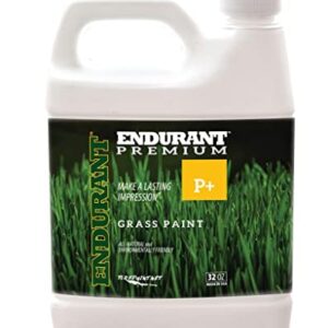 Endurant Green Grass Paint for Lawn and Fairway Treats Dry or Patchy Lawn – Pet Friendly Eco-Friendly Spray Paint and Turf Grass Dye