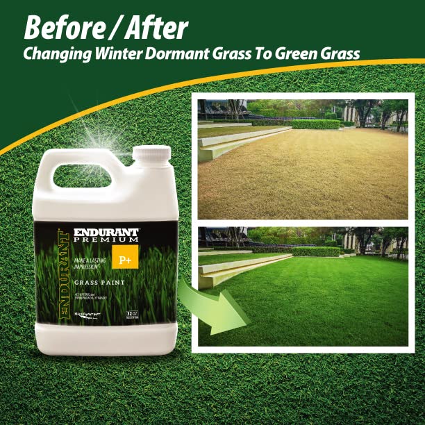 Endurant Green Grass Paint for Lawn and Fairway Treats Dry or Patchy Lawn – Pet Friendly Eco-Friendly Spray Paint and Turf Grass Dye