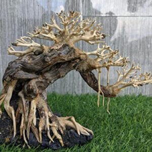 Bonsai Driftwood Aquarium Tree for Aquarium Decor Fish Tank Decorations