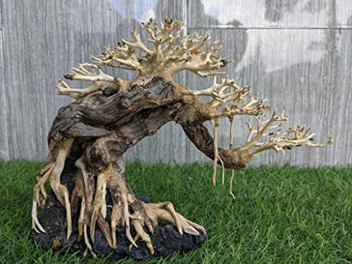 Bonsai Driftwood Aquarium Tree for Aquarium Decor Fish Tank Decorations