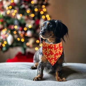 THLOH Christmas Dog Bandanas - 2 Pack Gingerbread Man Pet Scarf | Multiple Sizes Offered | for Boy and Girl, Adjustable Fit, Holiday Bandana for Small Medium Large Dogs,2pcs,S