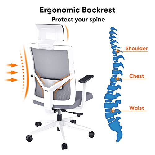 Season wind Ergonomic Office Chair, Mesh Home Office Desk Chairs Big and Tall Computer Chair Swivel Executive Chair with Wheels Heavy People Adjustable Armrest High Back Lumbar Support Headrest Grey