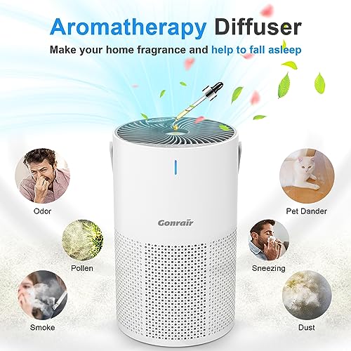 Air Purifiers for Bedroom Home 5 Layers H13 HEPA Air Filter, 22dB Ultra-quiet Air Purifier for office,Desktop,Kitchen,Filter 99.99% Smoke,Pollen, Pet Dander,Dust,Ozone Free,Available for California