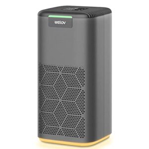 air purifiers for home large room: welov air purifiers for pets allergy, 1077 sq ft coverage, air quality monitor, removes 99.97% of pet hair dander pollen smoke dust odor, 23db air purifiers for bedroom, p200s