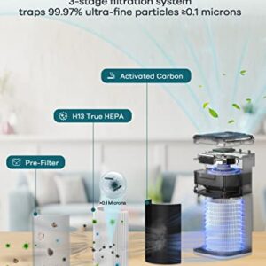 Air Purifiers for Home Large Room: Welov Air Purifiers for Pets Allergy, 1077 Sq Ft Coverage, Air Quality Monitor, Removes 99.97% of Pet Hair Dander Pollen Smoke Dust Odor, 23dB Air Purifiers for Bedroom, P200S