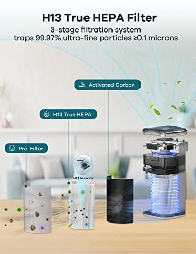 Air Purifiers for Home Large Room: Welov Air Purifiers for Pets Allergy, 1077 Sq Ft Coverage, Air Quality Monitor, Removes 99.97% of Pet Hair Dander Pollen Smoke Dust Odor, 23dB Air Purifiers for Bedroom, P200S