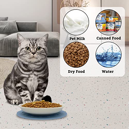 BNOSDM 3 Pcs Ceramic Cat Bowl Shallow Kitten Dishes with Anti-Slip Mat Whisker Fatigue Free Pet Plates for Indoor Small Cat Puppy