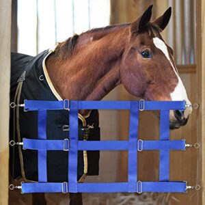 Harrison Howard Poly 3 Slat Stall Guard for Horses Blue