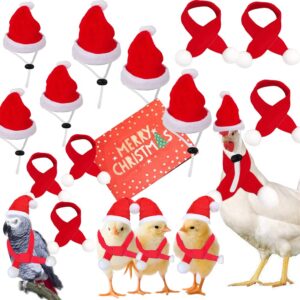 christmas pet chicken hat scarf set for hens, 12 pieces santa hat cloak with adjustable chin strap cute decorative for duck hens rabbit kitten