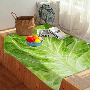 Citrasena Food Flannel Fleece Super Soft Cozy Blanket Cabbage Lightweight Warm Throw Blanket for Couch Living Room Bed Sofa Travel 40"x30" for Pet