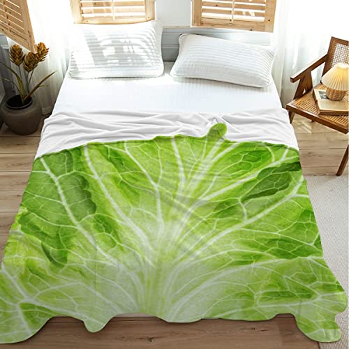 Citrasena Food Flannel Fleece Super Soft Cozy Blanket Cabbage Lightweight Warm Throw Blanket for Couch Living Room Bed Sofa Travel 40"x30" for Pet