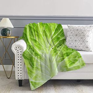 Citrasena Food Flannel Fleece Super Soft Cozy Blanket Cabbage Lightweight Warm Throw Blanket for Couch Living Room Bed Sofa Travel 40"x30" for Pet