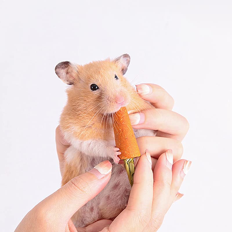 Eyomii Small Pet Molar Supplies Hamster Treats Rabbit Chew Toys Small Animal Chew Carrots All Natural Nutritious Molar Toys for Rabbit/Hamster/Guinea Pigs