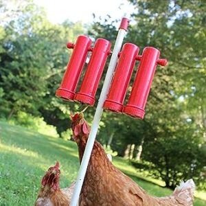 RentACoop Chicken Treat Dispenser - Suitable for Small and Large Treats - Includes Post for Indoor and Outdoor Placement - Large Size with 4 Tubes