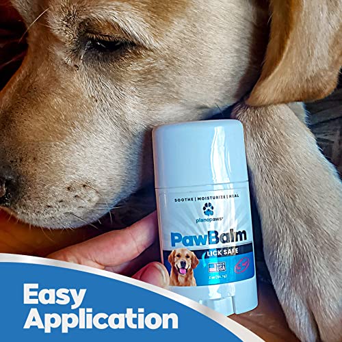 Lick Safe Dog Paw Balm 2 Oz - Dog Paw Protector - Paw Balm Dogs - Paw Pad Balm - Paw Protectors for Dogs Hot Pavement - Paw Wax for Dogs - Fix Dry Cracked Paws - Paw Soother for Dogs - Paw Butter