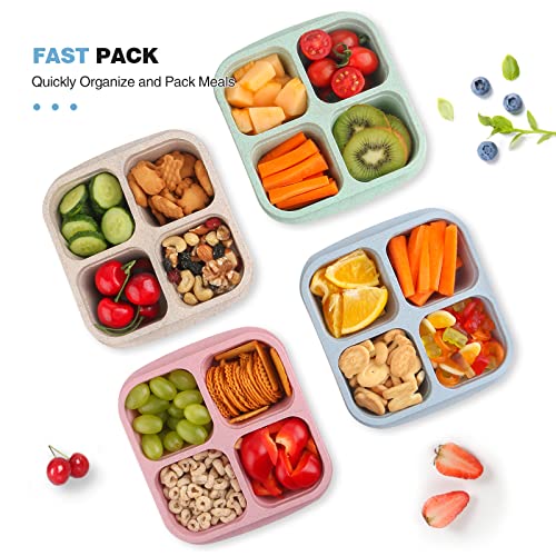 ozazuco 4 Pack Snack Containers, Divided Bento Snack Box, 4 Compartments Reusable Meal Prep Lunch Containers for Kids Adults, Food Storage Containers for School Work Travel