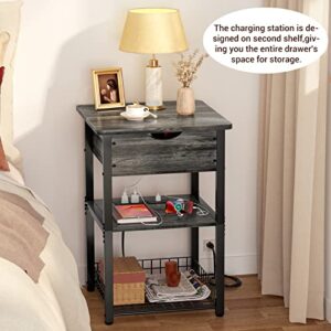Cyclysio Nightstand Set of 2 with Charging Station, End Table Side Table with USB Ports and Outlets, Flip Top Night Stands with Shelves, Slim Bedside Sofa Table for Living Room, Bedroom, Gray Oak