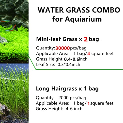 Live Aquarium Plant Seeeds Combo,Fresh Water Grass Mini Leaf & Hair Grass Small Pearl Leaf for Fish Tank Terrarium Aquatic Dwarf Carpet Decor AAB