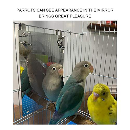 Bird Mirror, Large Stainless Steel Bird Mirror Perch Cockatiel Swing Toys Parrot Cage Accessories Decoration Standing Bar Claw for Small Medium All Types of Parakeet Cockatoo Cockatiel Finch Canaries