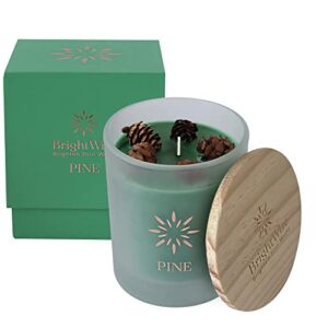 brightwize pine candle scented with 5 real pine cones, soy candles, scented with green leaves, pine, eucalyptus, sage