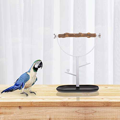 PATKAW Outdoor Toys Outdoor Toys Outdoor Playset 2 Pieces Bird Perches, Wooden Parrot Wooden Perch Bird Perch Training Standing Rack Parrot Stand Branch Outdoor Toys Outdoor Playset Wooden Toys