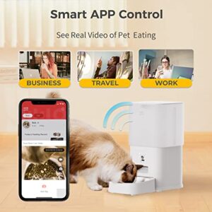 ABRCT Automatic Cat Feeder with Camera,6L Large Capacity Smart Feeder for Cats,Visible Food Bowl,App Remote Control,Customize Feeding Plan