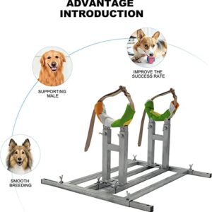 Sonorphine Dog Breeding Stand Stainless Steel Dog Breeding Stand Adjustable Height and Length Pet Fixed Bracket Dog Breeding Accessories Supplies Breeding (L)