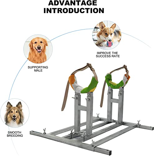 Sonorphine Dog Breeding Stand Stainless Steel Dog Breeding Stand Adjustable Height and Length Pet Fixed Bracket Dog Breeding Accessories Supplies Breeding (L)