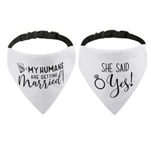 risf engagement dog bandana,my humans are getting married she said yes dog bandana collar,strong d-ring engagement dog bandana,adjustable dog collar with quick release buckle for dogs cats (l, white)