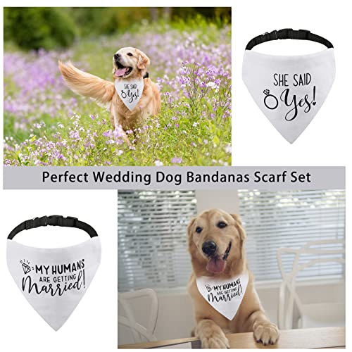 RISF Engagement Dog Bandana,My Humans are Getting Married She Said Yes Dog Bandana Collar,Strong D-Ring Engagement Dog Bandana,Adjustable Dog Collar with Quick Release Buckle for Dogs Cats (L, White)