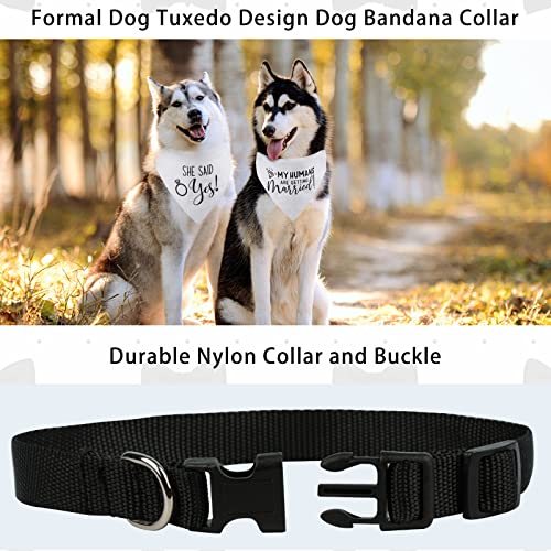 RISF Engagement Dog Bandana,My Humans are Getting Married She Said Yes Dog Bandana Collar,Strong D-Ring Engagement Dog Bandana,Adjustable Dog Collar with Quick Release Buckle for Dogs Cats (L, White)