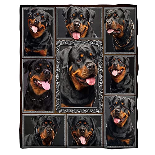 BEDBLK Rottweiler Blanket Soft Warm Flannel Plush Throw Blanket for Bed Sofa Couch Lightweight Cozy Travel Camping Blankets (Pattern 1, 80'' x 60'')