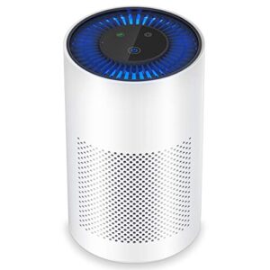 wsta portable small hepa air purifiers for home,bedroom,office-white,w080c