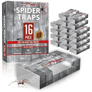 spider traps for inside your home (16 traps) - spider catcher insect traps indoor - spider traps indoor bug traps sticky traps for spiders - pre baited ultra sticky insect glue traps - trap a pest