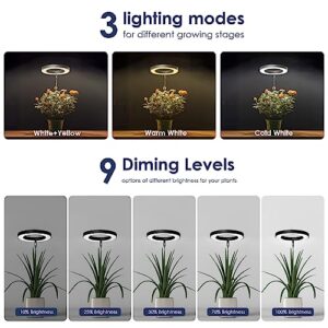 IMVSINCERE Plant Grow Light- LED Growing Light Full Spectrum for Indoor Plants- Adjustable Plants Growing Lamp with Auto On/Off Timer 3/9/12H and 10 Dimmable Brightness(Adapter Not Included)