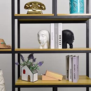 Saysmile Decorative Book Ends for Heavy Books, Unique Women Face Bookends for Shelves with Non-Slip Base Modern Resin Book Holders for Home Office Decor, Great Gifts for Book Lovers(Black&White)