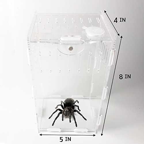 5x4x8 inch Magnetic Acrylic Reptile Case, Vertical Transparent Tarantula Enclosure Tank, Micro Habitat Terrariums Suitable Insect, Snails, Hermit Crabs, Lizards, Frogs, clear, Vertical：5x4x8(LxWxh)in