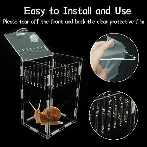 5x4x8 inch Magnetic Acrylic Reptile Case, Vertical Transparent Tarantula Enclosure Tank, Micro Habitat Terrariums Suitable Insect, Snails, Hermit Crabs, Lizards, Frogs, clear, Vertical：5x4x8(LxWxh)in